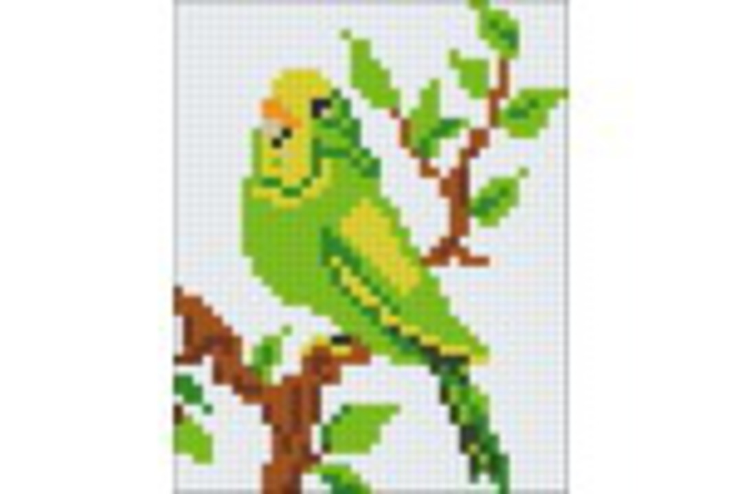 green parakeet/budgie image 0